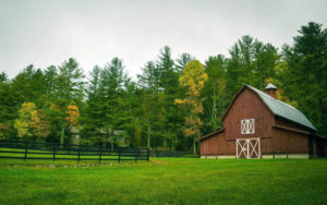 barn fir trees foliage fence green grass